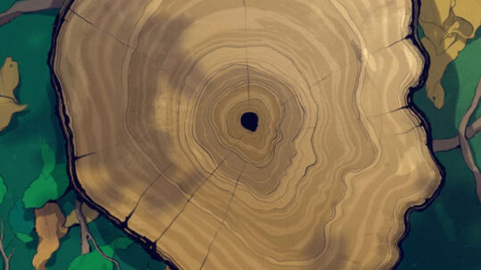 ALLARGAR LA VIDA SALUDABLE ES JA UNA REALITAT