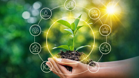 New genomic tecniques