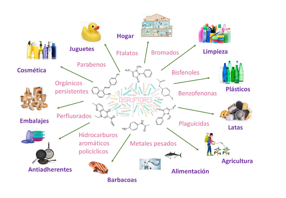 que son els disruptors endocrins