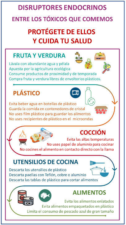 utensilios de cocina y disruptores endocrinos